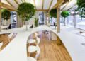 Enhancing Workplace Productivity with Biophilic Design