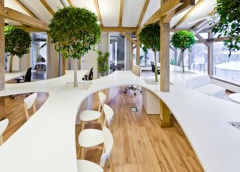 Enhancing Workplace Productivity with Biophilic Design