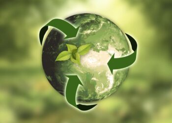 Eco-Friendly Practices Shape Design
