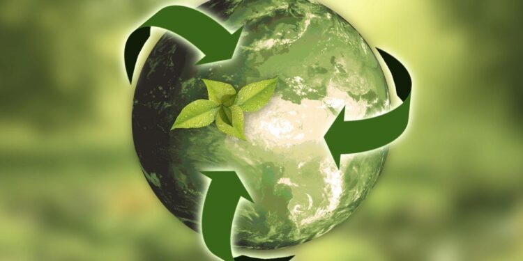 Eco-Friendly Practices Shape Design